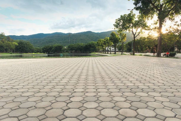 Best Driveway Pavers for Homes  in Timberlake, VA