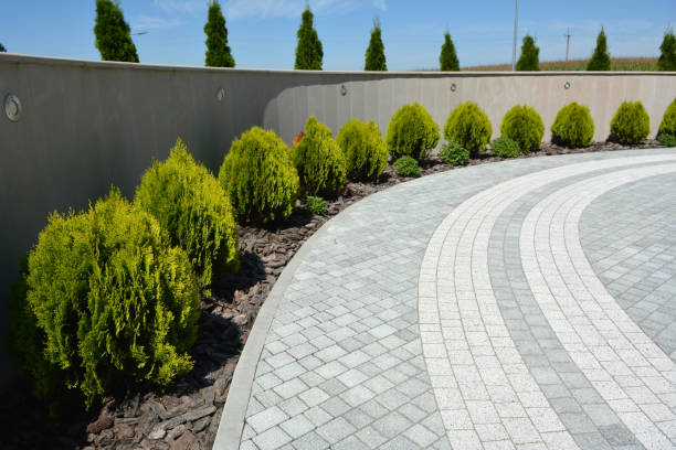 Best Driveway Paving Contractor  in Timberlake, VA